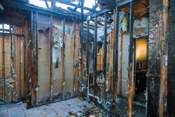 Professional Fire Damage Restoration technician working in Glenwood, MN